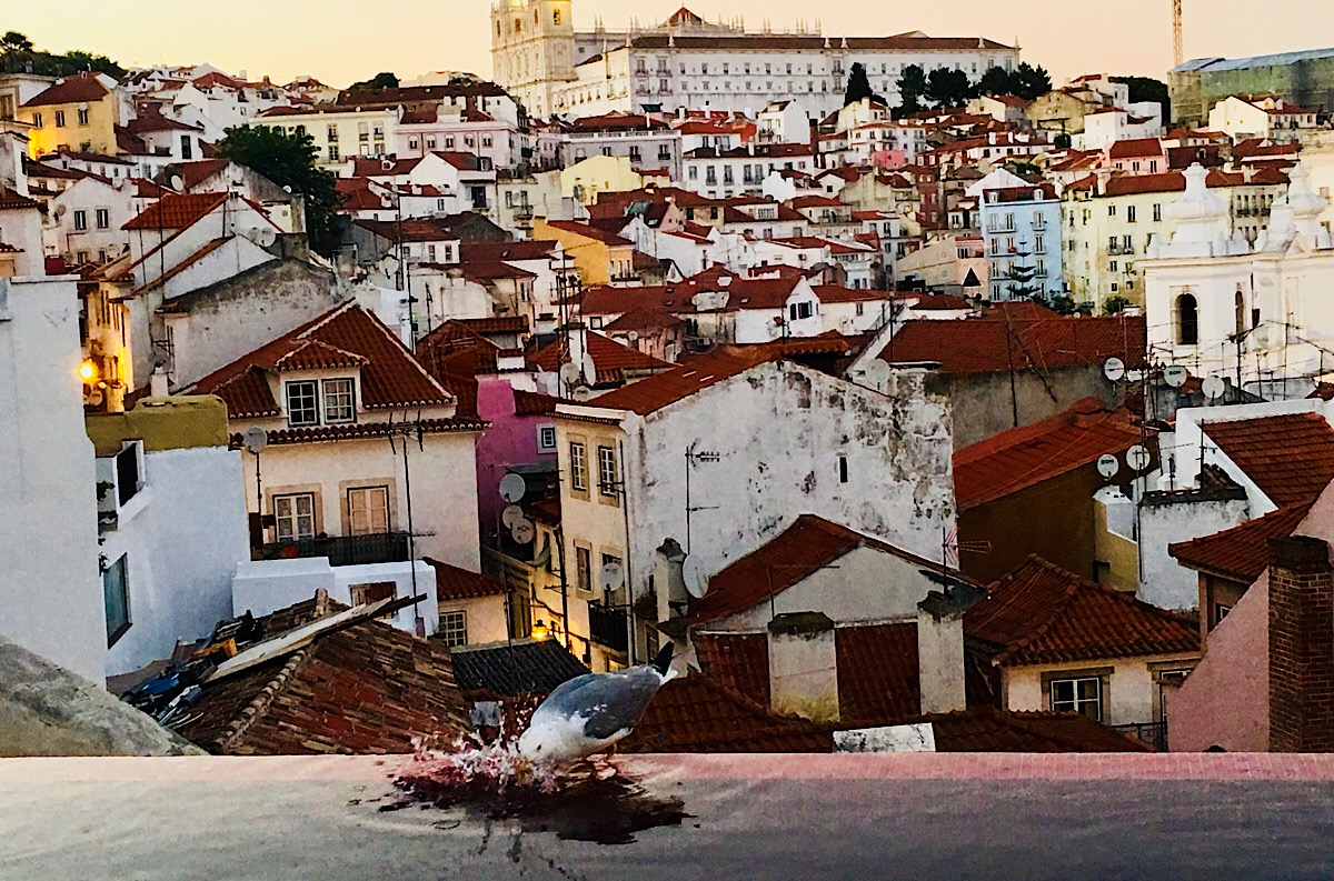 Lisbon twilight